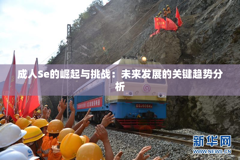 成人Se的崛起与挑战：未来发展的关键趋势分析