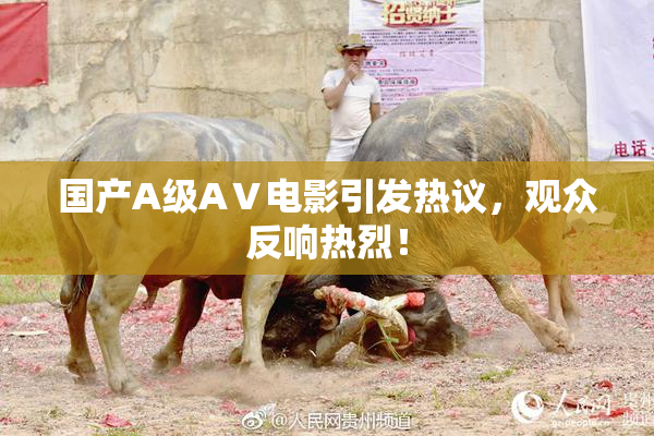国产A级AⅤ电影引发热议，观众反响热烈！