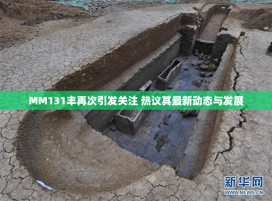 MM131丰再次引发关注 热议其最新动态与发展