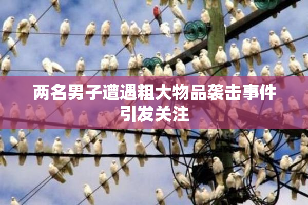 两名男子遭遇粗大物品袭击事件引发关注