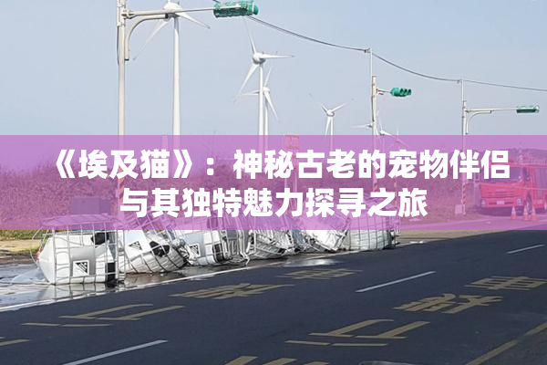 《埃及猫》：神秘古老的宠物伴侣与其独特魅力探寻之旅