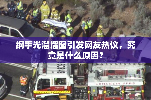 纲手光溜溜图引发网友热议，究竟是什么原因？