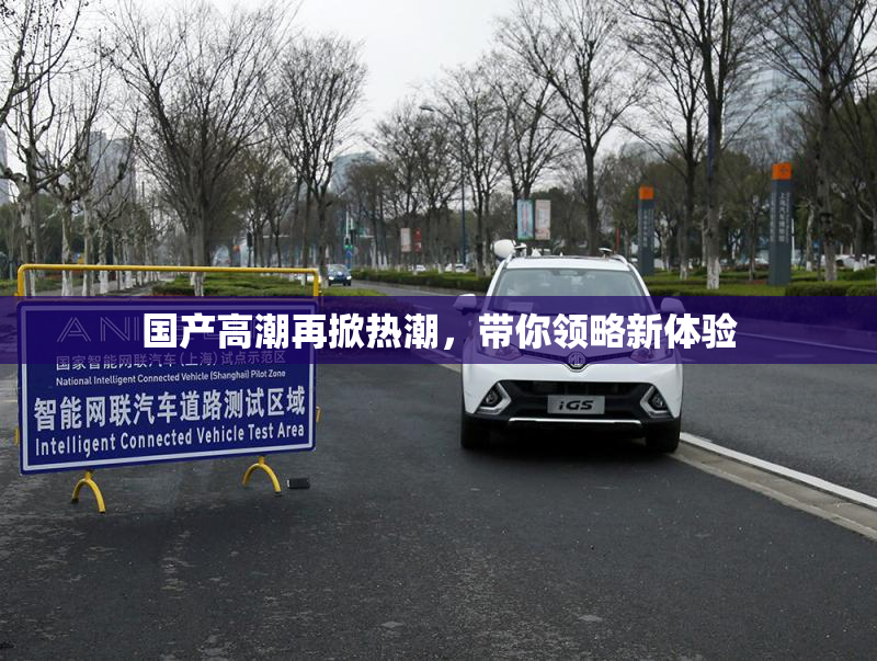 国产高潮再掀热潮，带你领略新体验
