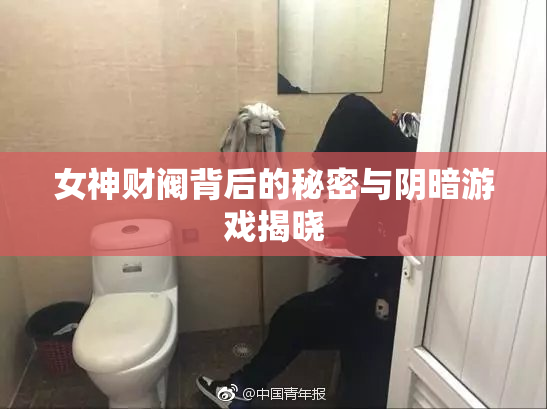 女神财阀背后的秘密与阴暗游戏揭晓