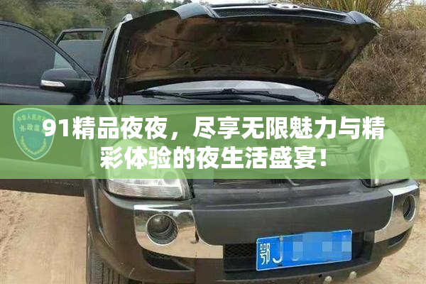 91精品夜夜，尽享无限魅力与精彩体验的夜生活盛宴！