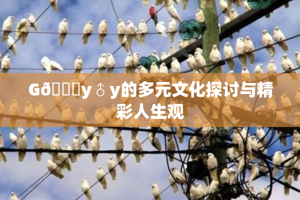 G🈚y♂y的多元文化探讨与精彩人生观
