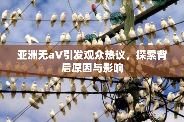 亚洲无aV引发观众热议，探索背后原因与影响