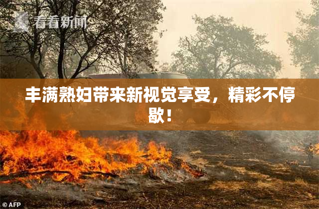 丰满熟妇带来新视觉享受，精彩不停歇！