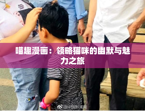喵趣漫画：领略猫咪的幽默与魅力之旅