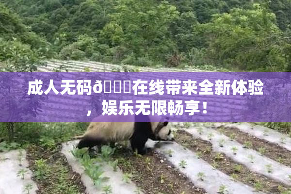 成人无码🔞在线带来全新体验，娱乐无限畅享！