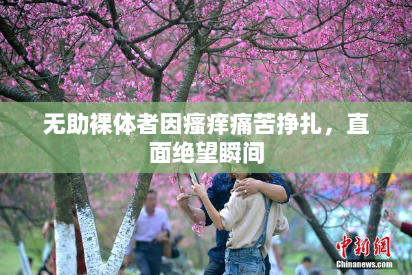 无助裸体者因瘙痒痛苦挣扎，直面绝望瞬间