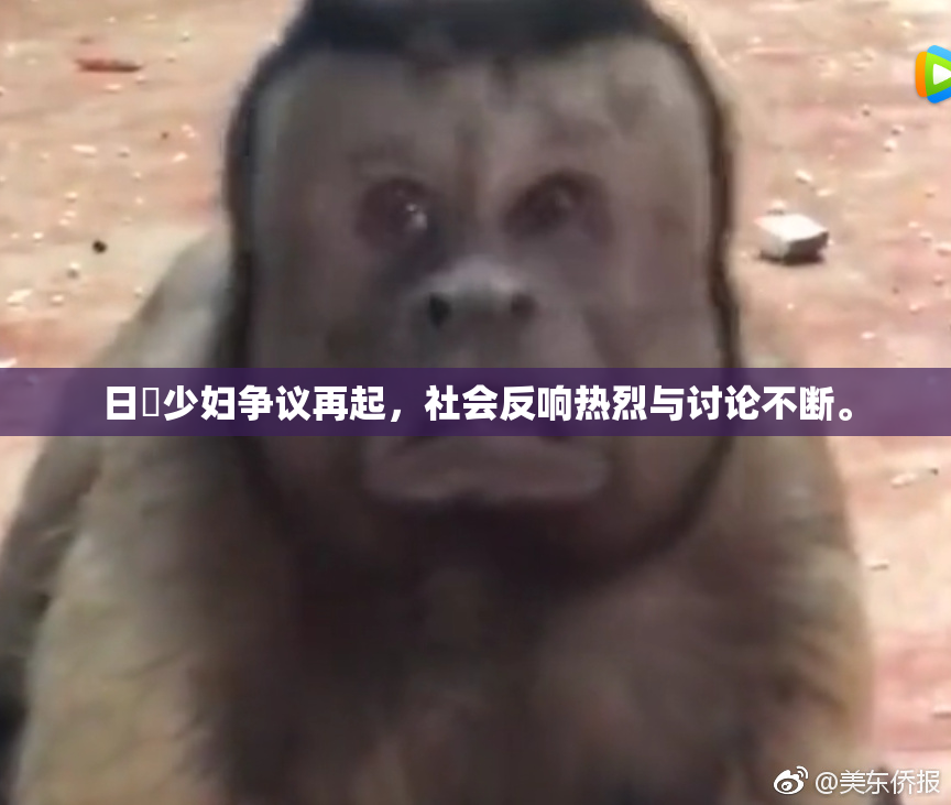 日夲少妇争议再起，社会反响热烈与讨论不断。