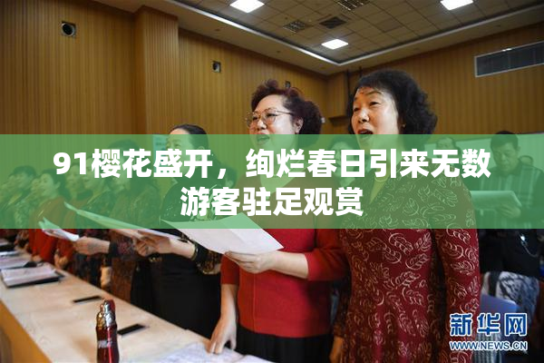 91樱花盛开，绚烂春日引来无数游客驻足观赏