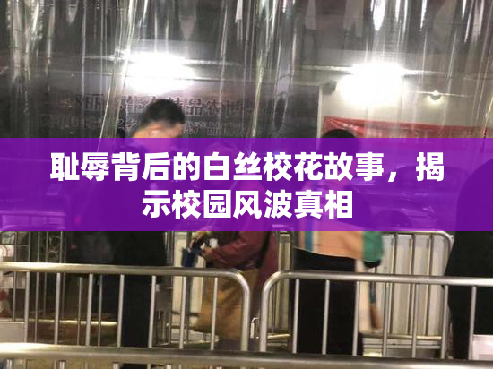 耻辱背后的白丝校花故事，揭示校园风波真相