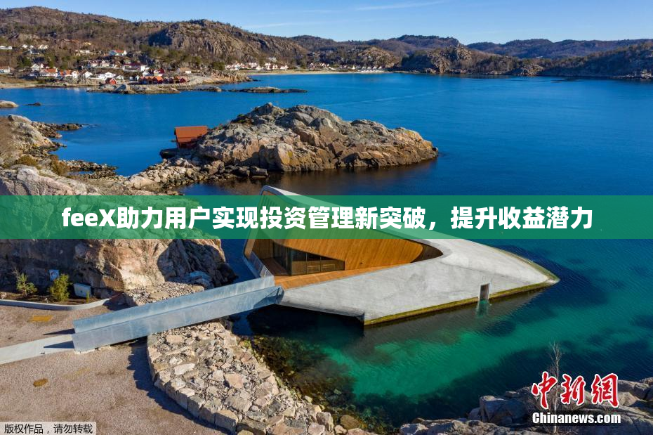 feeX助力用户实现投资管理新突破，提升收益潜力