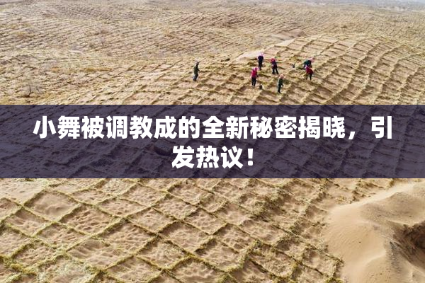 小舞被调教成的全新秘密揭晓，引发热议！