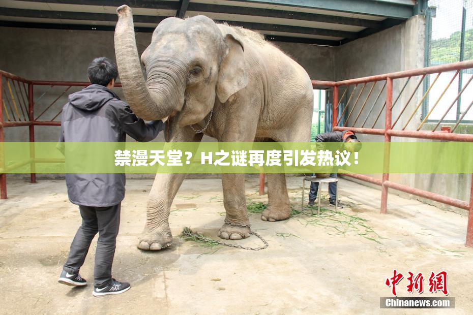 禁漫天堂？H之谜再度引发热议！
