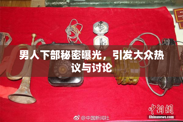 男人下部秘密曝光，引发大众热议与讨论