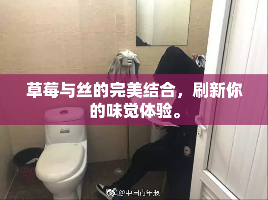 草莓与丝的完美结合，刷新你的味觉体验。