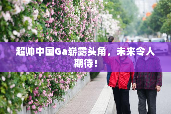 超帅中国Ga崭露头角，未来令人期待！
