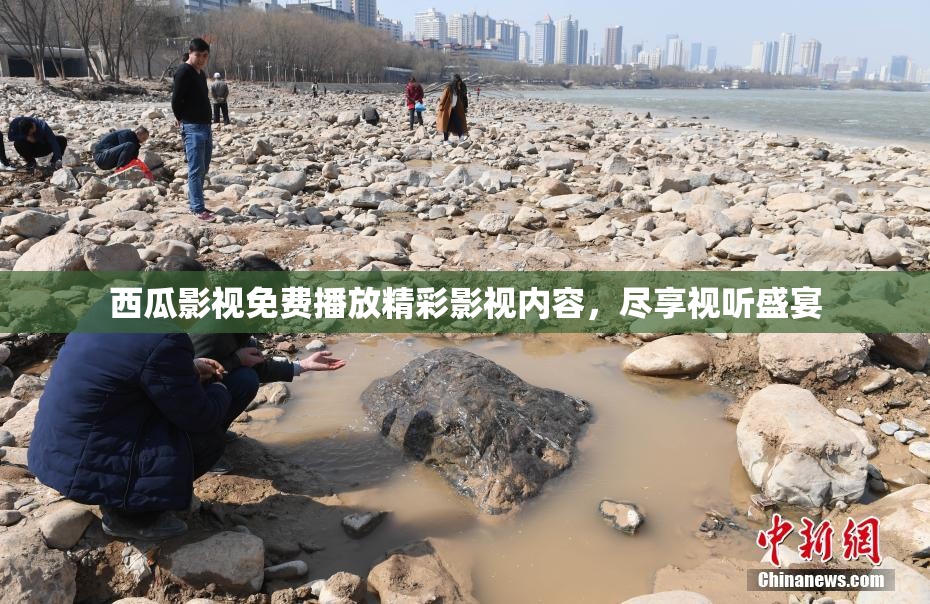 西瓜影视免费播放精彩影视内容，尽享视听盛宴