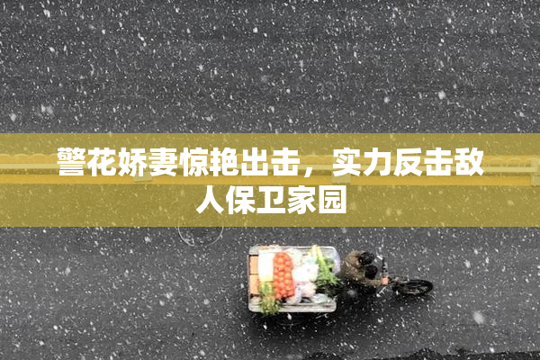警花娇妻惊艳出击，实力反击敌人保卫家园