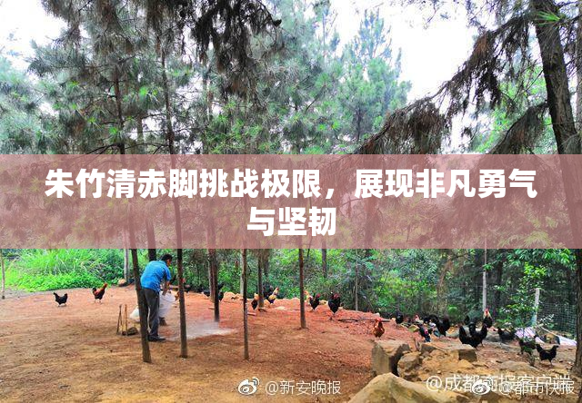 朱竹清赤脚挑战极限，展现非凡勇气与坚韧