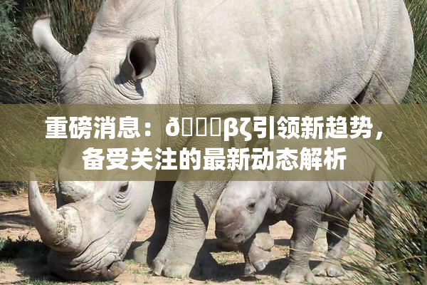 重磅消息：👙βζ引领新趋势，备受关注的最新动态解析