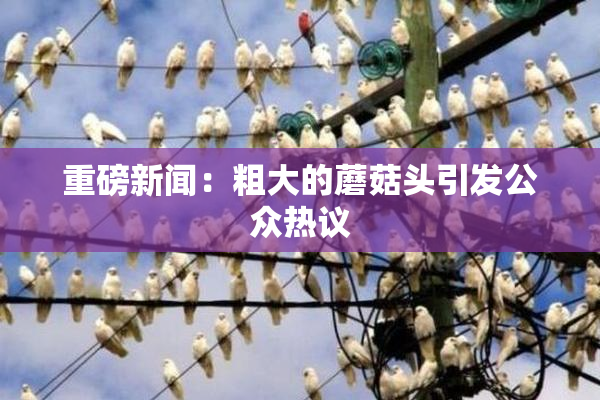 重磅新闻：粗大的蘑菇头引发公众热议