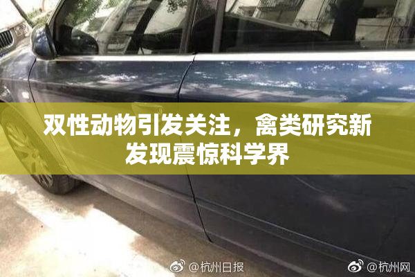 双性动物引发关注，禽类研究新发现震惊科学界