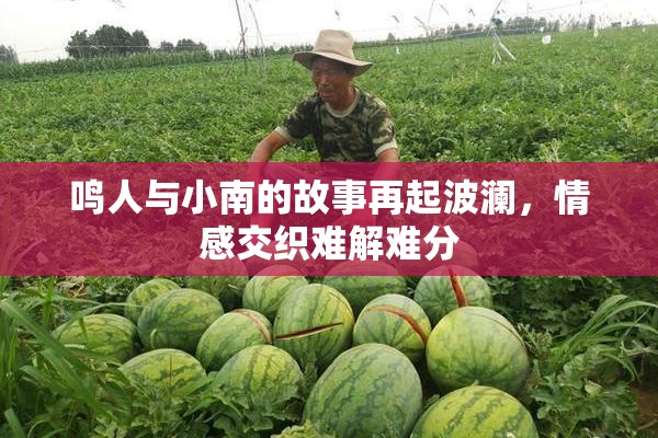 鸣人与小南的故事再起波澜，情感交织难解难分