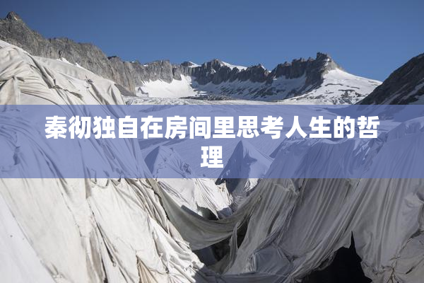 秦彻独自在房间里思考人生的哲理