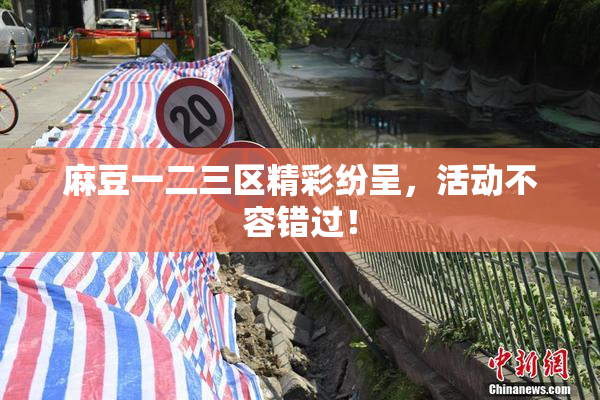 麻豆一二三区精彩纷呈，活动不容错过！
