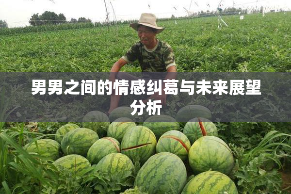 男男之间的情感纠葛与未来展望分析