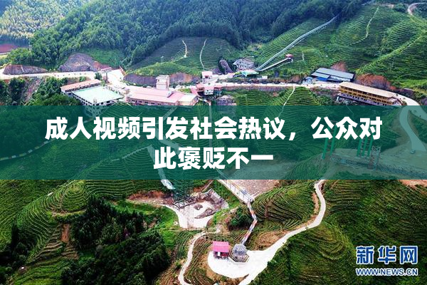 成人视频引发社会热议，公众对此褒贬不一