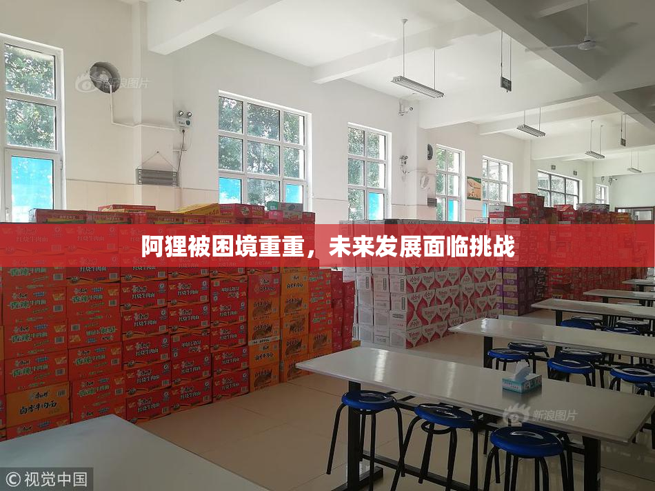 阿狸被困境重重，未来发展面临挑战