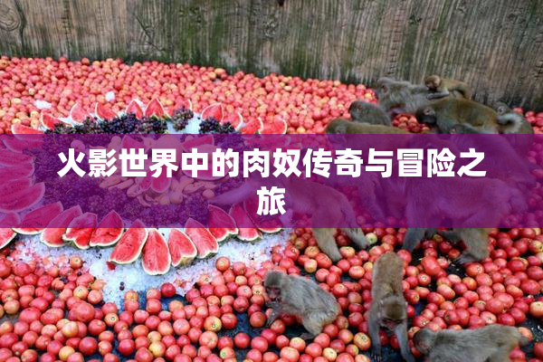 火影世界中的肉奴传奇与冒险之旅