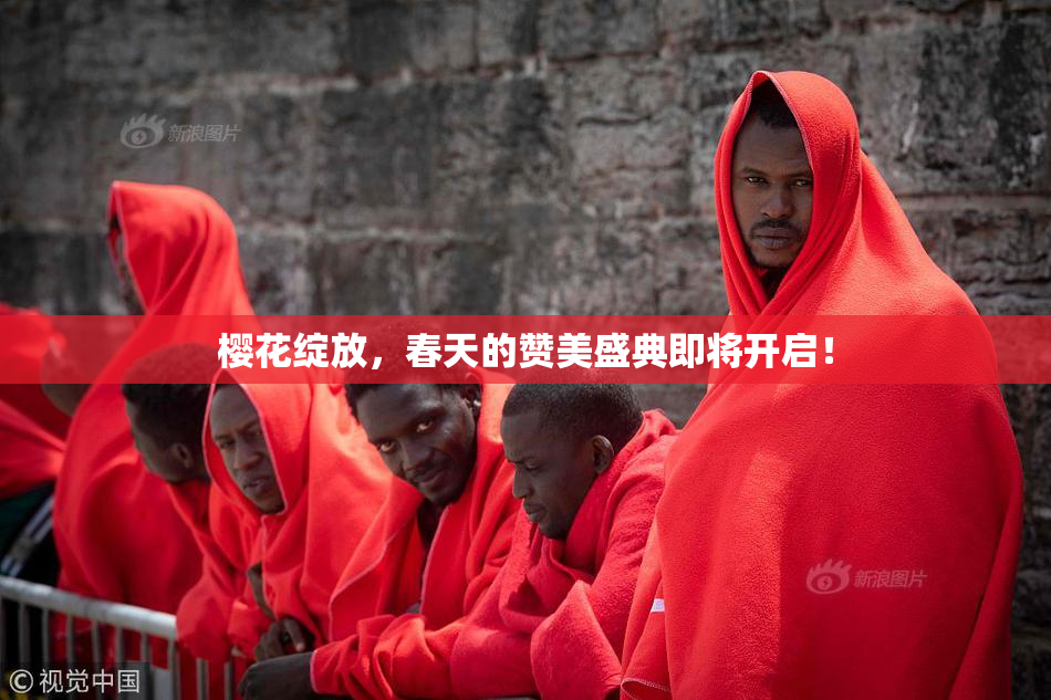 樱花绽放，春天的赞美盛典即将开启！