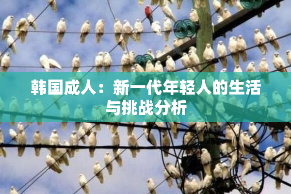 韩国成人：新一代年轻人的生活与挑战分析