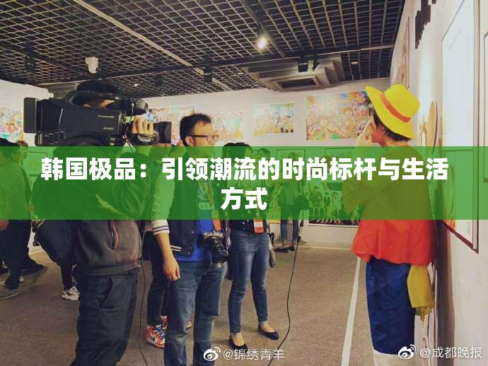 韩国极品：引领潮流的时尚标杆与生活方式