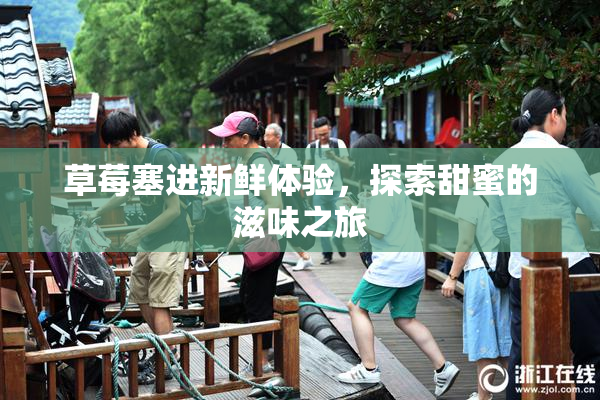 草莓塞进新鲜体验，探索甜蜜的滋味之旅