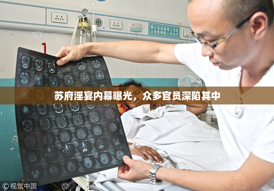 苏府淫宴内幕曝光，众多官员深陷其中