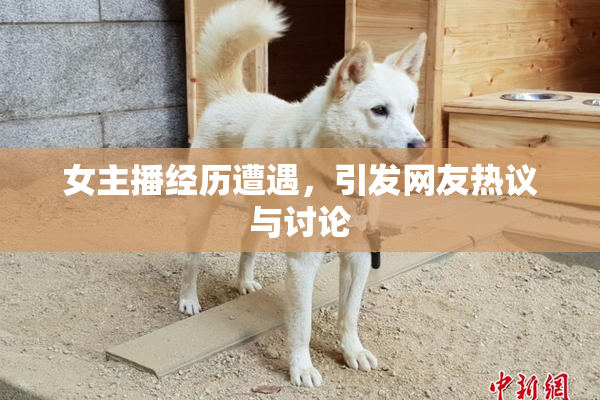 女主播经历遭遇，引发网友热议与讨论