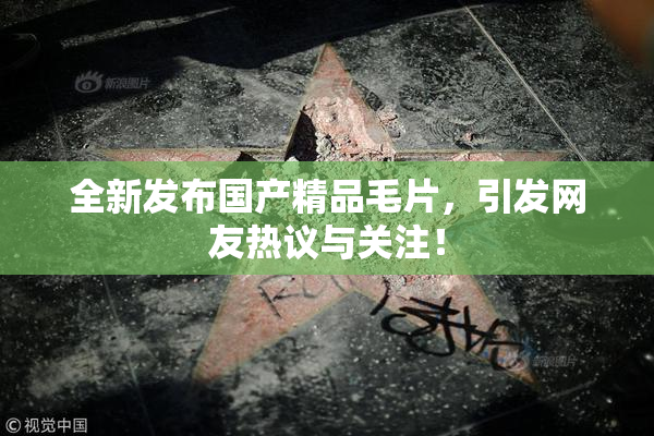全新发布国产精品毛片，引发网友热议与关注！