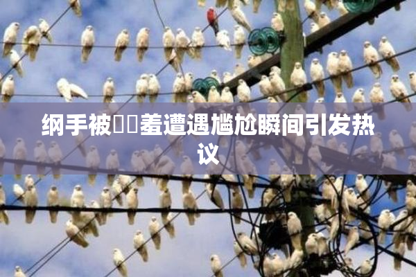 纲手被❌‌羞遭遇尴尬瞬间引发热议