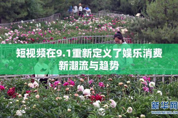 短视频在9.1重新定义了娱乐消费新潮流与趋势