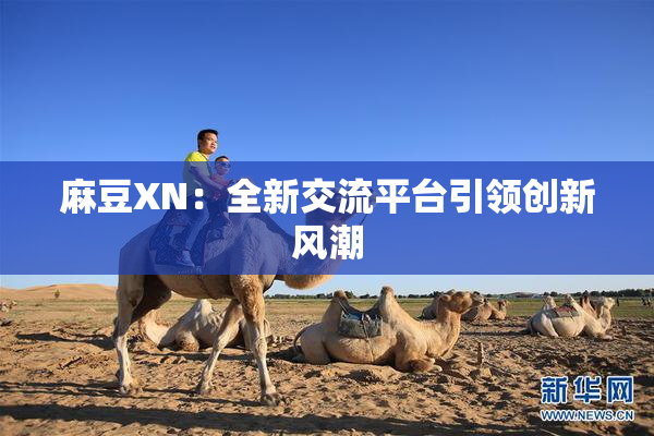 麻豆XN：全新交流平台引领创新风潮