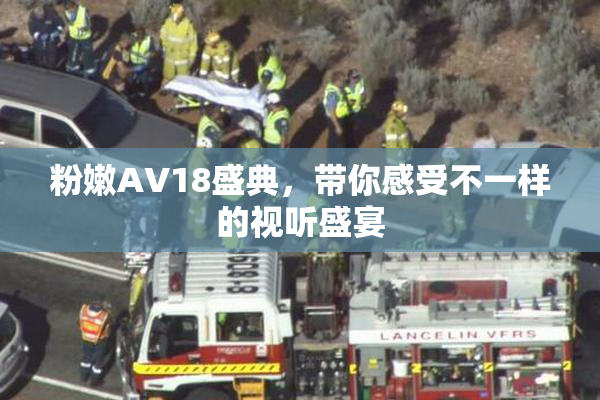 粉嫩AV18盛典，带你感受不一样的视听盛宴