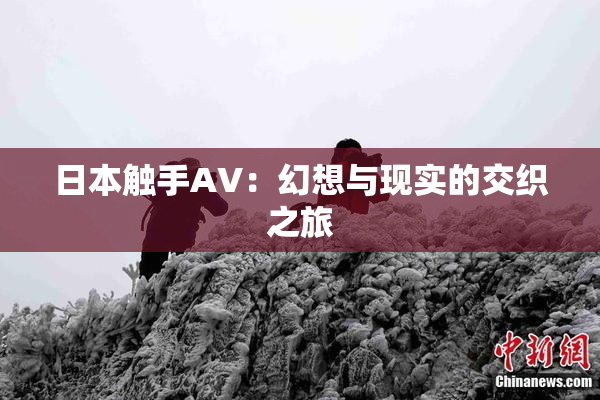 日本触手AV：幻想与现实的交织之旅