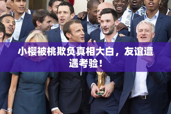 小樱被桃欺负真相大白，友谊遭遇考验！